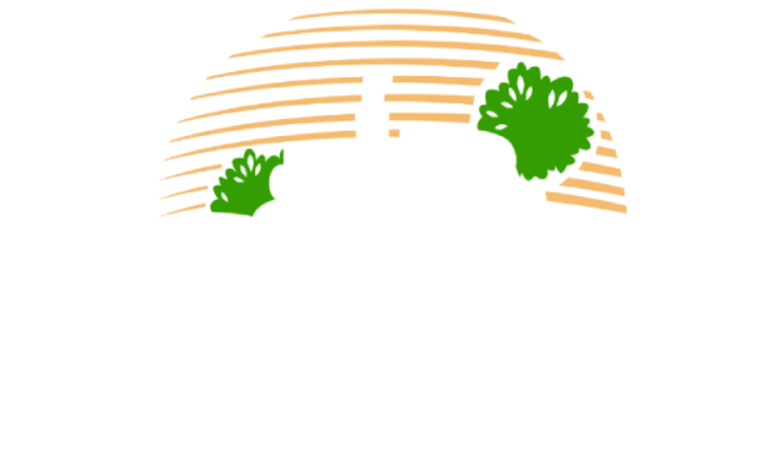 WEB TASARIM & YAZILIM